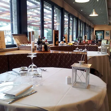 Saccardi & - Adults Only