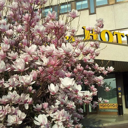 Hotel Saccardi & - Adults Only 4*